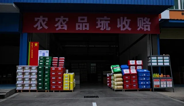 种苗供应业务如何适应市场变化与技术升级